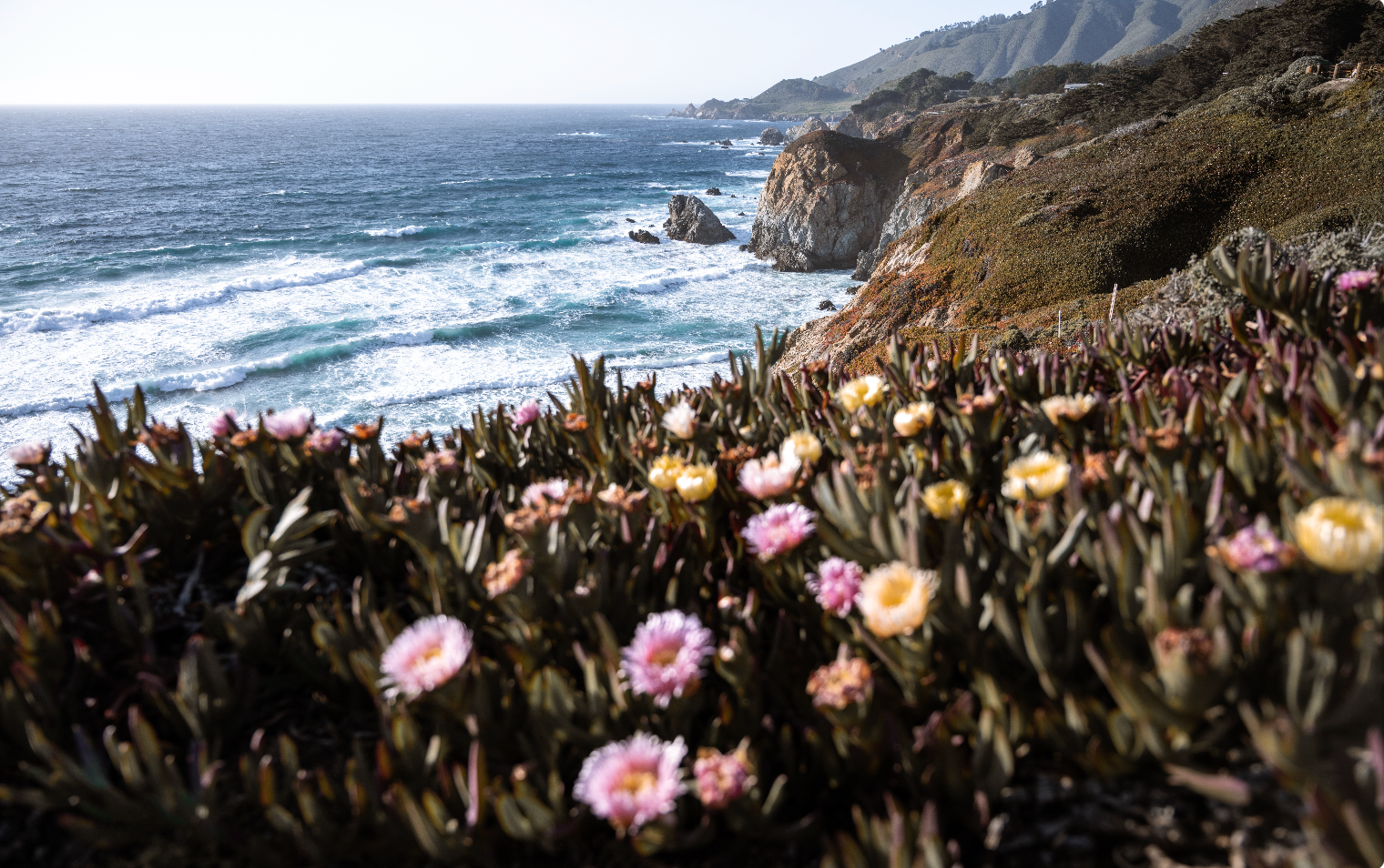 Big Sur Coastline