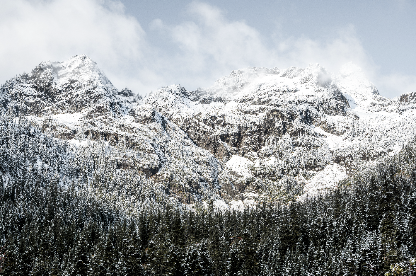 Dusted In Snow