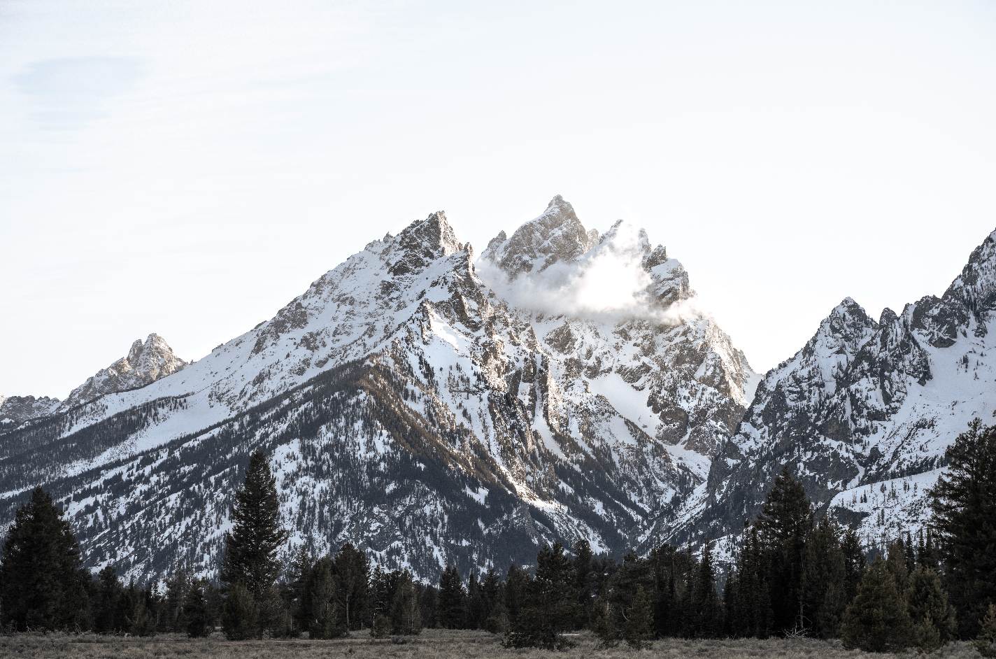 Spring In The Tetons