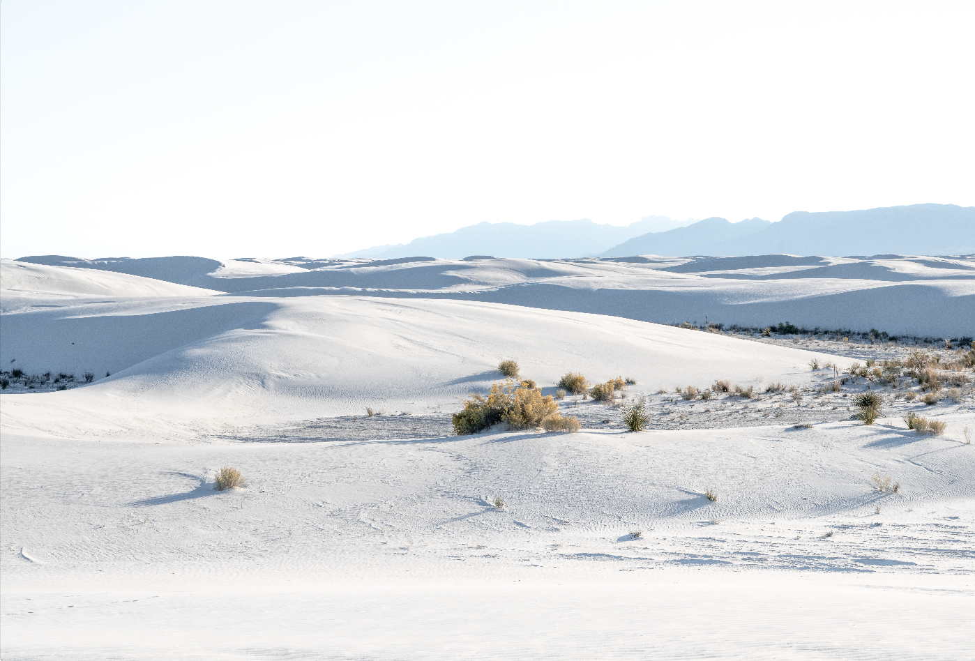 White Sands, Color