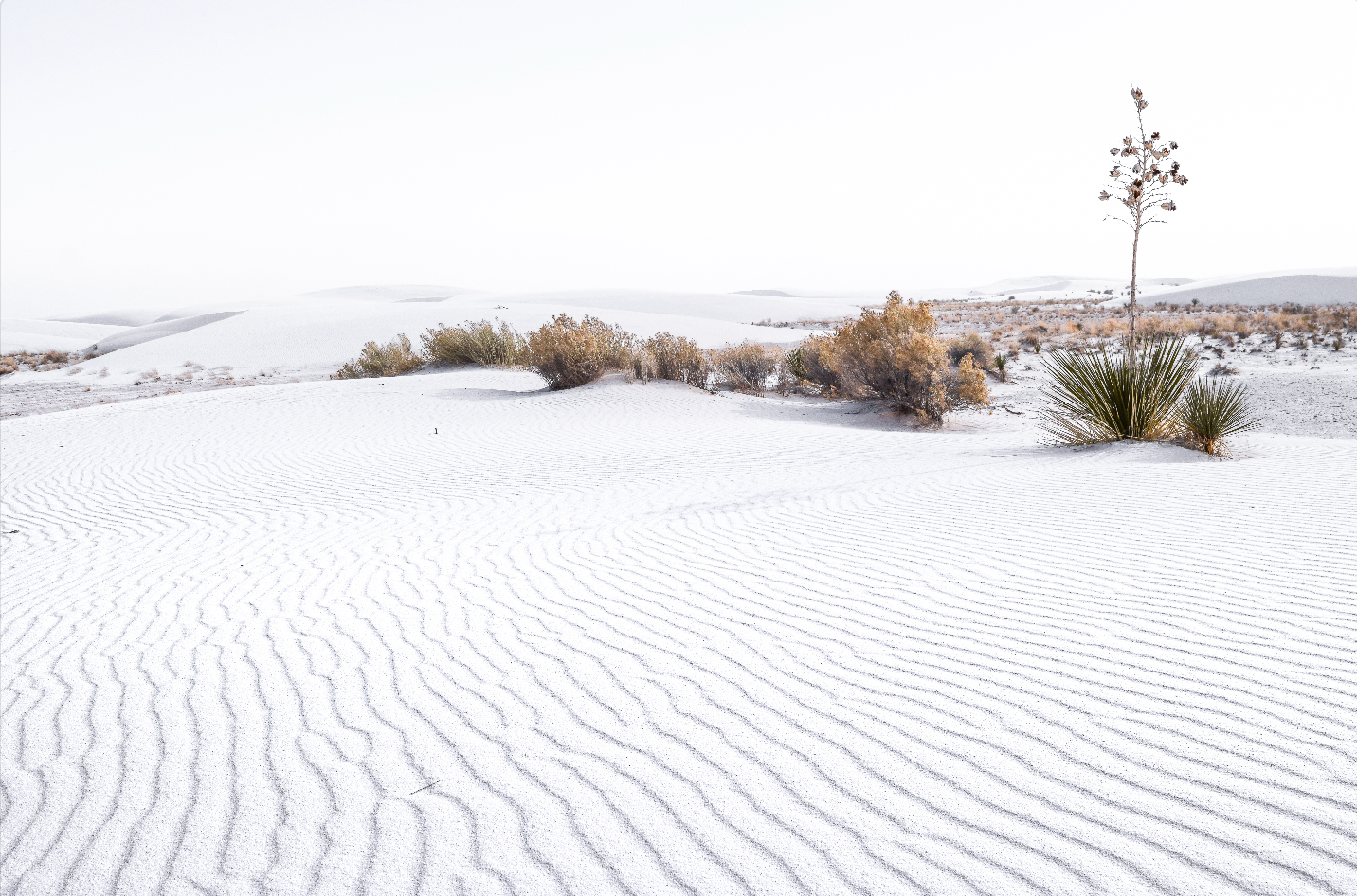 White Sands, Lines