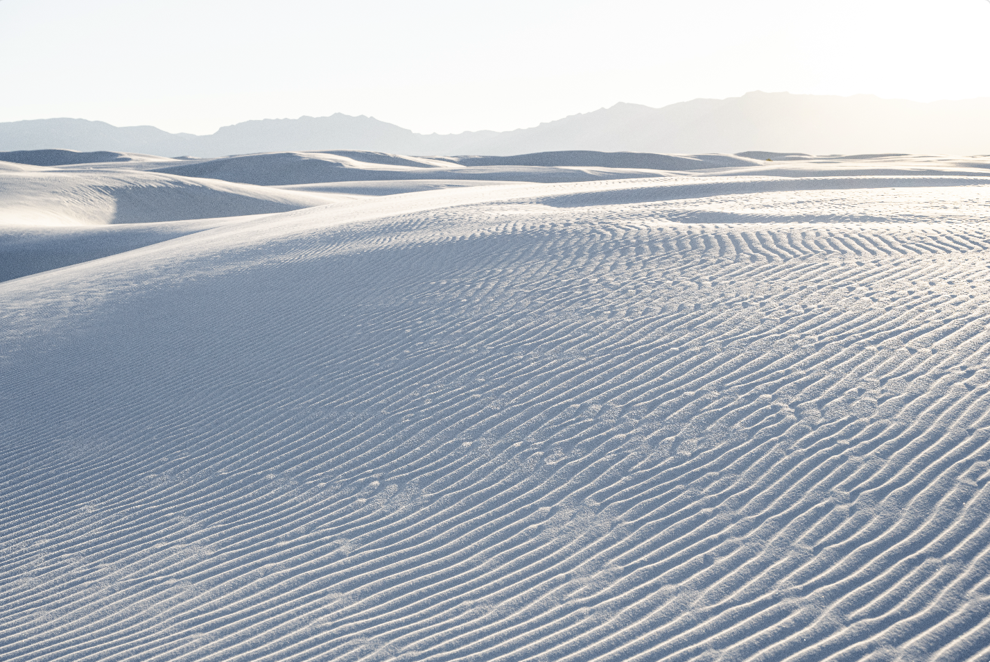 White Sands, Sunlight