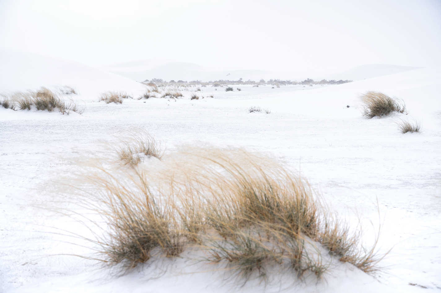 White Sands, Wind