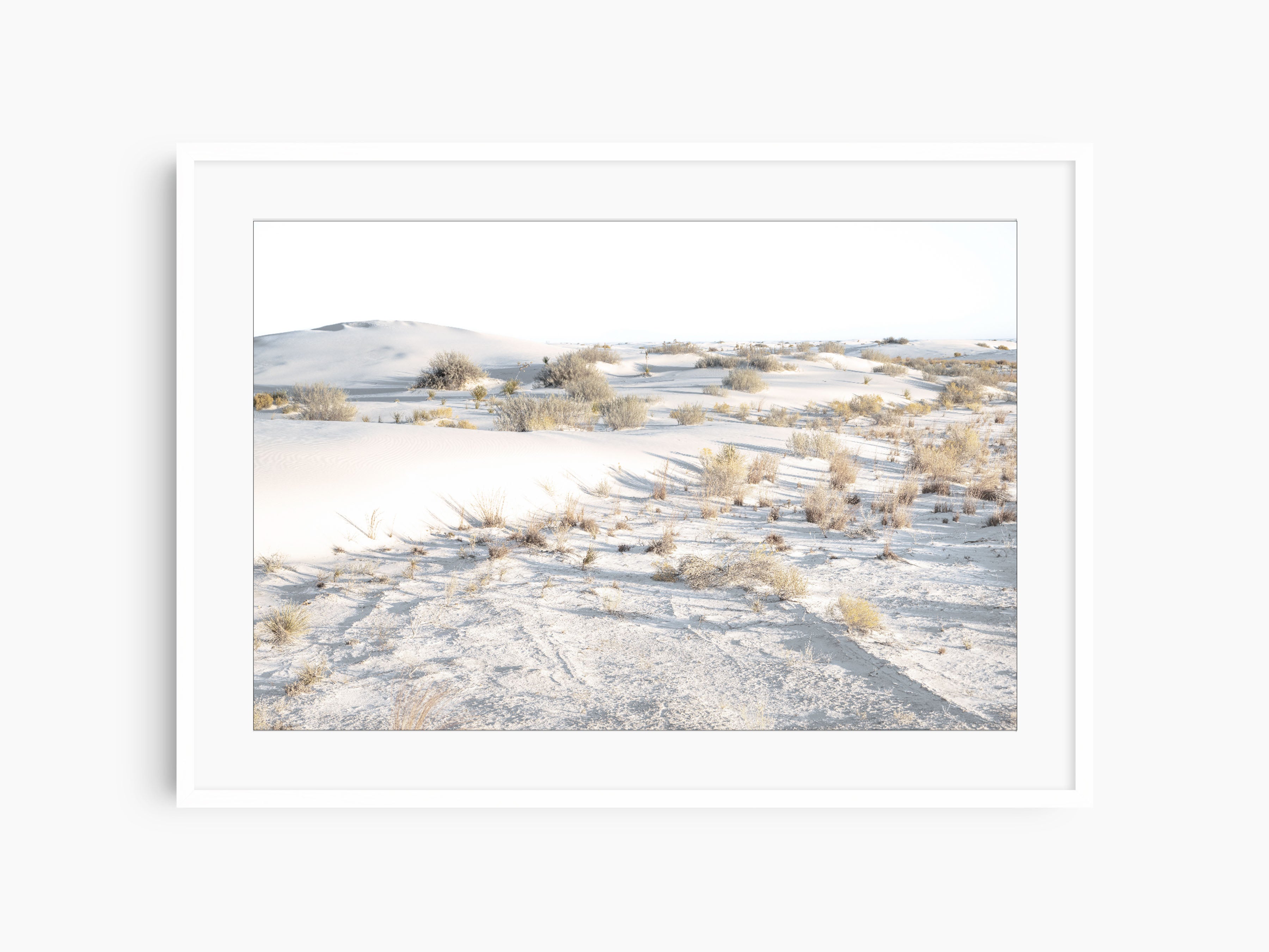 White Sands, Brush