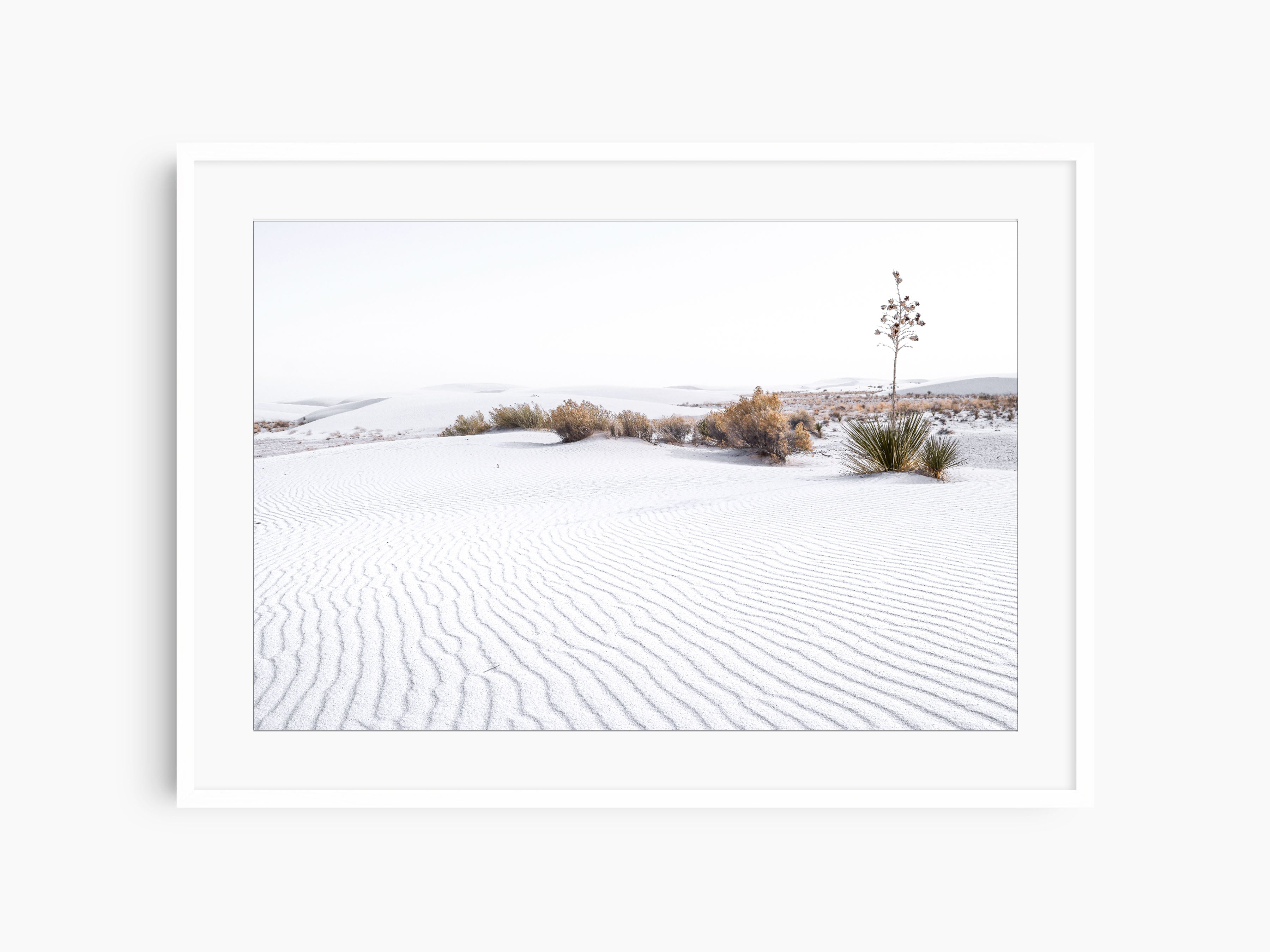 White Sands, Lines